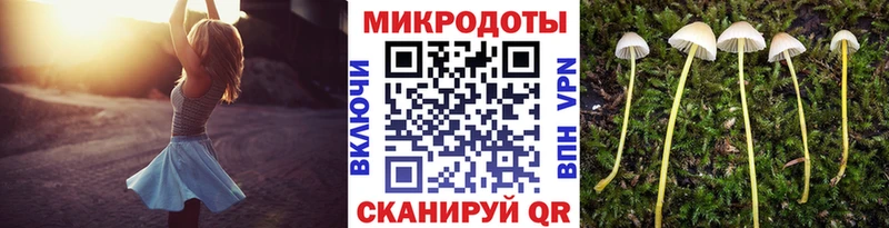 как найти наркотики  ссылка на мегу рабочий сайт  Галлюциногенные грибы мицелий  Анжеро-Судженск 