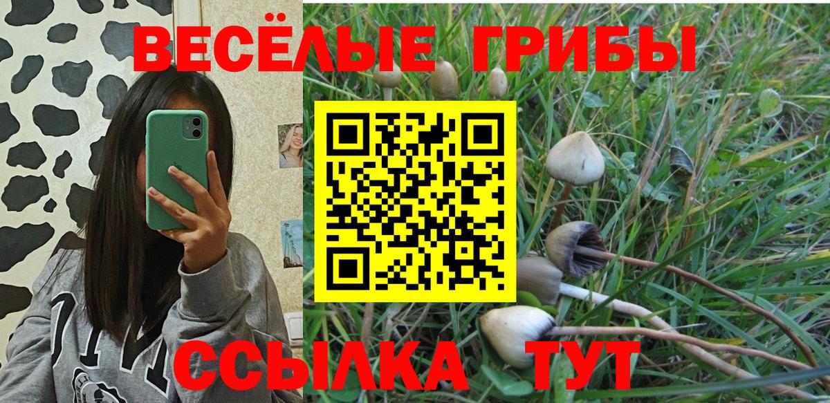 Псилоцибиновые грибы мухоморы Анжеро-Судженск