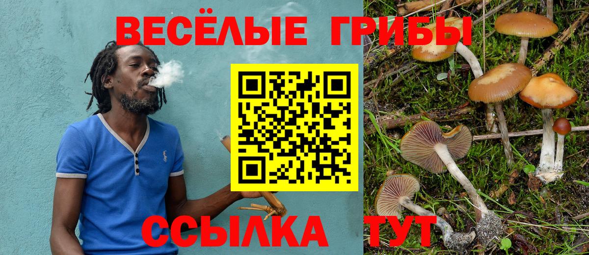 магазин продажи   Вход с VPN  Анжеро-Судженск  Псилоцибиновые грибы Cubensis 