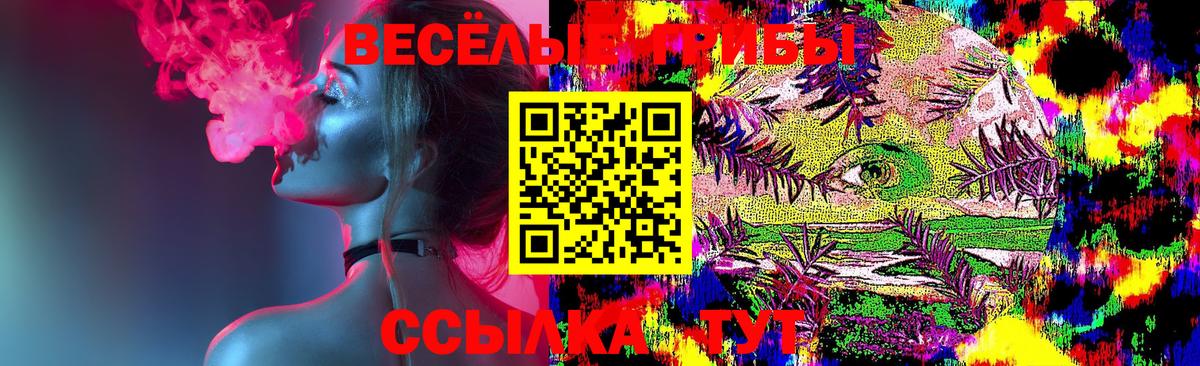 Галлюциногенные грибы Magic Shrooms Анжеро-Судженск